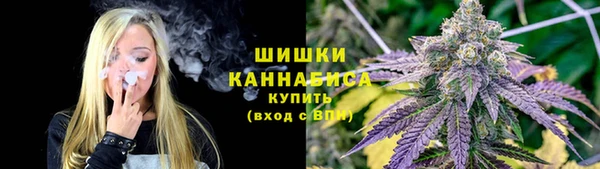 ешки Заводоуковск