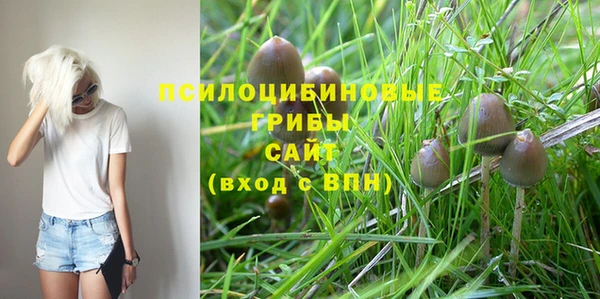 соль курить ск Заволжск