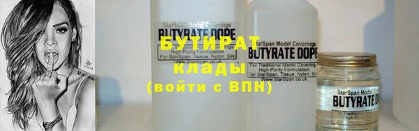 шишки Архангельск