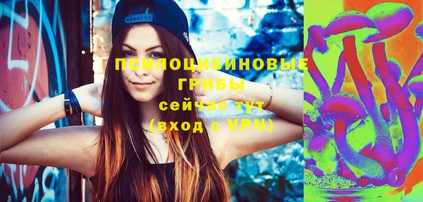 ешки Заводоуковск