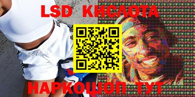 гидропоника Кимры