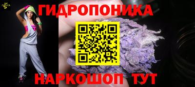 ГАЛЛЮЦИНОГЕННЫЕ ГРИБЫ Кингисепп