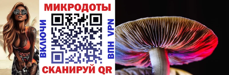Псилоцибиновые грибы мицелий  Сальск 