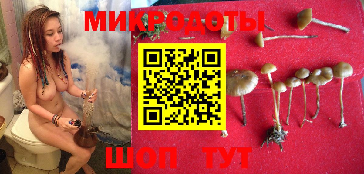 Псилоцибиновые грибы прущие грибы Сальск